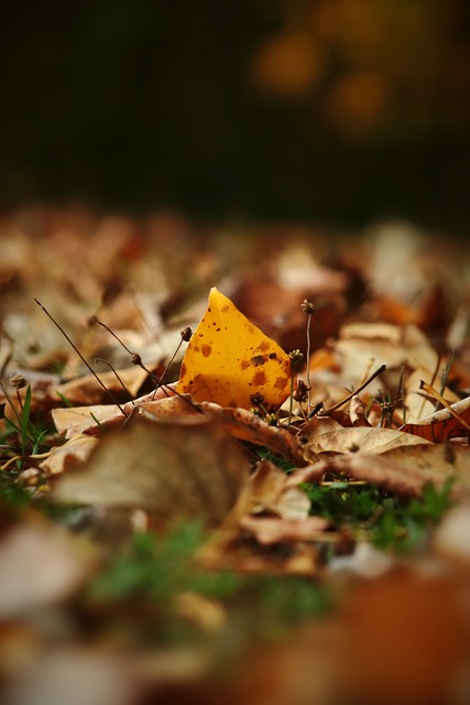 贺希宁在招笑这个赛道已经越走越远了，估计这会人设已经改不回去了