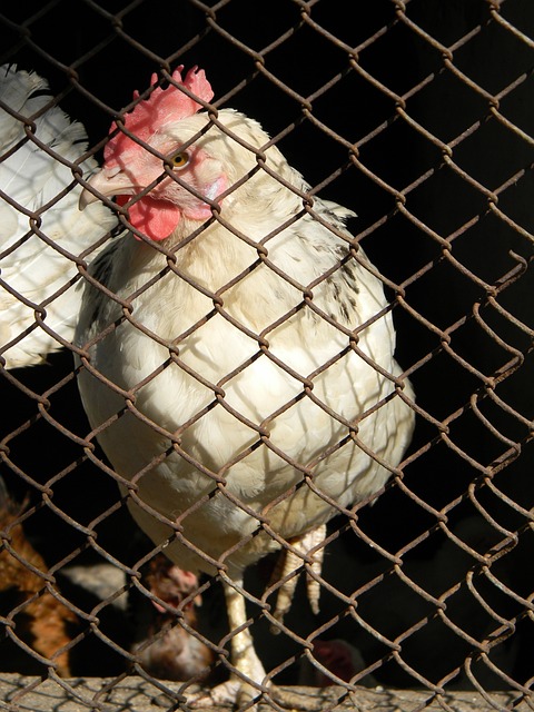 过往两场三分16中2又怎样，克尼佩尔准绝平三分回击质疑