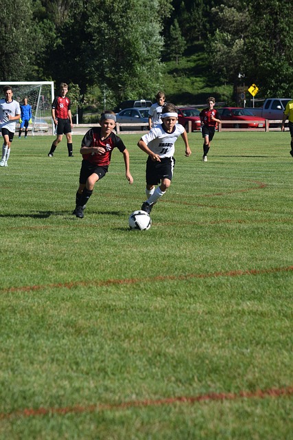 前锋远射破门，球迷现场尖叫