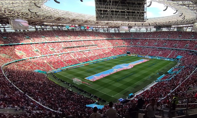 B费谈C罗被罚下：这是足球里会发生的事，他知道自己犯了错误